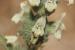 Sideritis perfoliata ---EM---L.